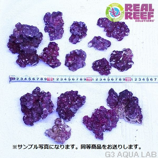 人工ライブロック Real Reef Rock Nano 約2kg