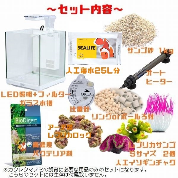 コトブキ 22cm 小型水槽 ガラス水槽 デスクトップ一体型水槽 スタイリッシュ 初心者 安心 大阪水槽メンテナンス リース レンタル水槽メンテナンス大阪 インテリア オーダーメイド 水槽設置 内装 大阪 関西 熱帯魚メンテナンス 大阪 販売 価格 通販 熱帯魚 金魚