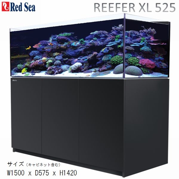 Mmc レッドシー リーファー オーバーフロー 1cm 10mm キューブ水槽 小型水槽 ガラス水槽 デスクトップ一体型水槽 スタイリッシュ 初心者 安心 大阪水槽メンテナンス リース レンタル水槽メンテナンス大阪 インテリア オーダーメイド 水槽設置 内装 大阪 関西