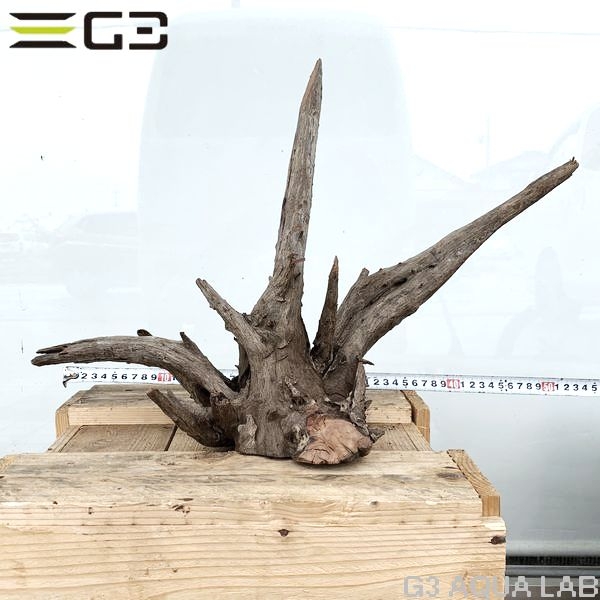 その他用品 アクセサリー レイアウト用品 No 197 ソネケミファ ブラックホーン流木 Lサイズ アクアリウムの通販 販売はg3 Aqua Labまで その他用品 アクセサリー レイアウト用品 No 197 ソネケミファ ブラックホーン流木 Lサイズ アクアリウムの通販 販売はg3 Aqua Labまで