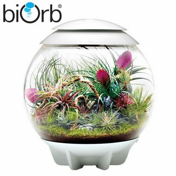 テラリウム水槽 パルダリウム水槽 小型水槽 オールインワン水槽 水槽関連 一体型 背面濾過水槽 取り寄せ Biorb Air 60 ホワイト アクアリウムの通販 販売はg3 Aqua Labまで