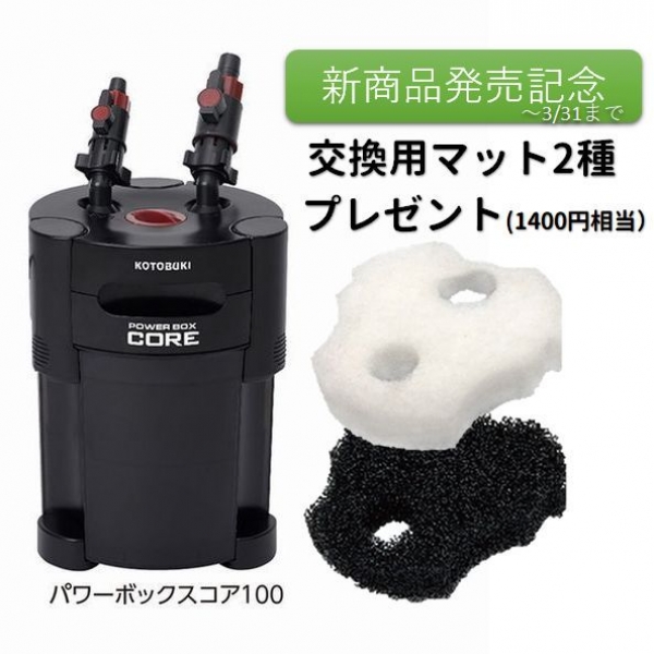 大型水槽用 外部フィルター パワーフィルター 大阪水槽メンテナンス リース レンタル水槽メンテナンス大阪 インテリア オーダーメイド 水槽設置 内装 大阪 関西 熱帯魚メンテナンス 海水魚メンテナンス 水草メンテナンス 大阪 販売 価格 通販 熱帯魚 金魚 水草