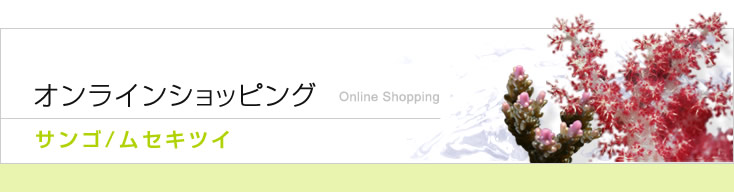 饤󥷥åԥ󥰡/ॻĥ