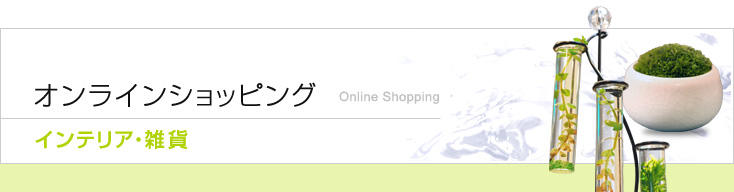 饤󥷥åԥ󥰡ƥꥢ