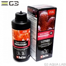�ȥ졼�����顼�� B�����ꥦ��/�ܥ���ź�á�500ml��[7290100772898]