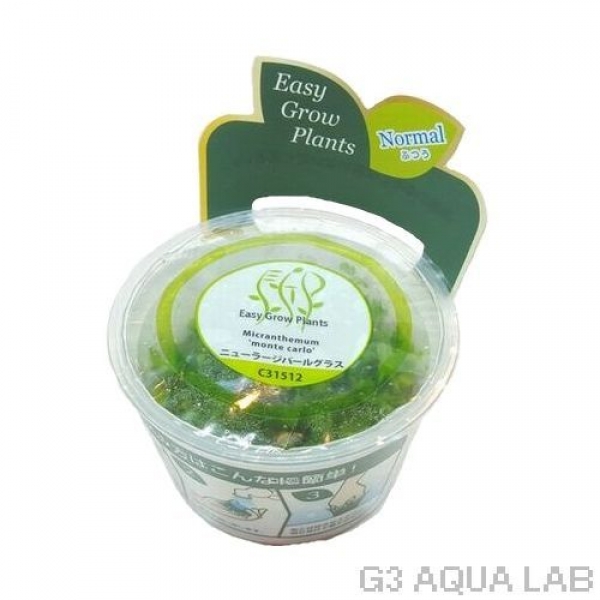 �˥塼�顼���ѡ��륰�饹��̵�����ȿ����ܡ�[C31512]