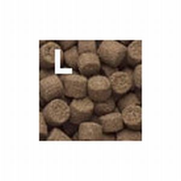 �ӣգңšʥ��奢���� L������ �������� [4997483021072]