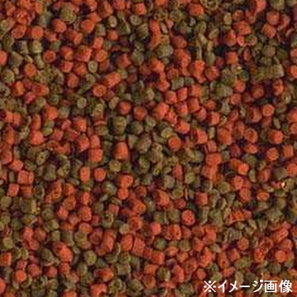 �ƥȥ顡�ƥȥ�ޥ�󡡥���˥塼�롡110g��[4004218765443]