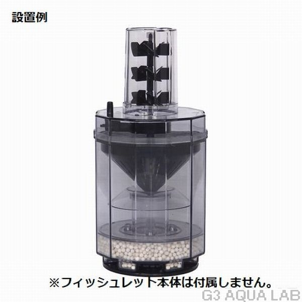 �ե��å����å����� �ѥ��ե� [4582112270275]