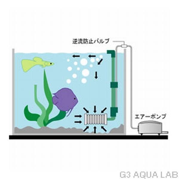 �ƥȥ顡�ĥ���ӥ꡼�ե��륿����[4560147395545]