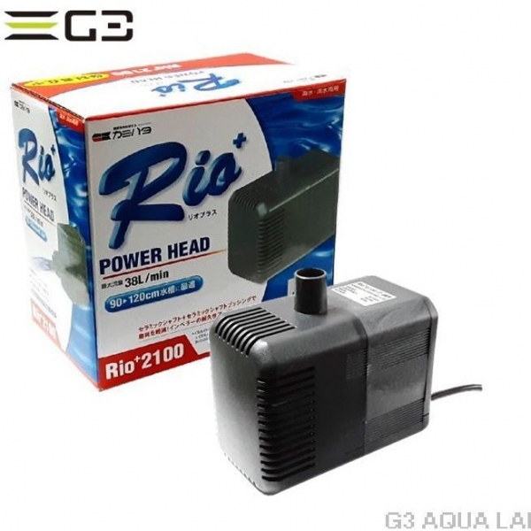 ���ߥϥ���Rio+ 2100 60Hz��[4971664940215]