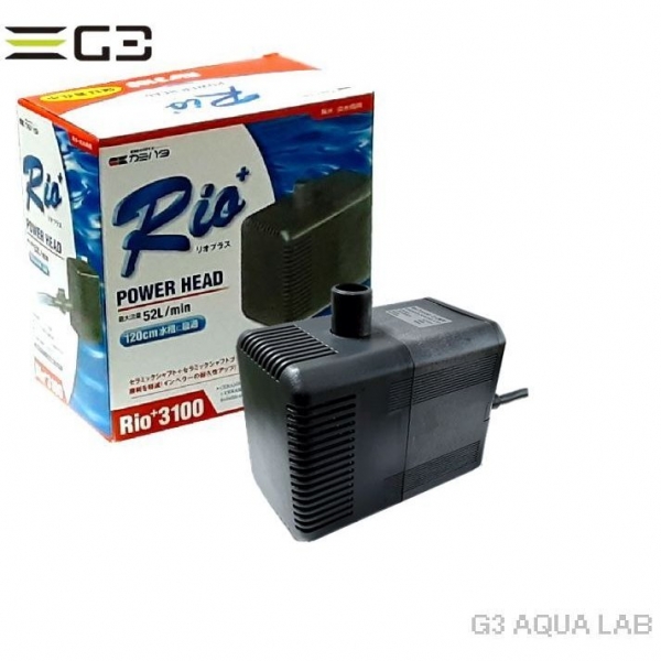 ���ߥϥ���Rio+ 3100 60Hz��[4971664940253]