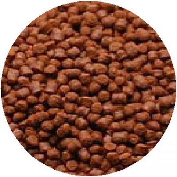 �ե����ߥ�飱���ޥ��ڥ�åȣӡ�100g��[0098731092203]