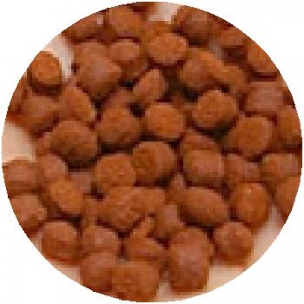 �ե����ߥ�飱���ޥ��ڥ�å�M��100g��[0098731092302]