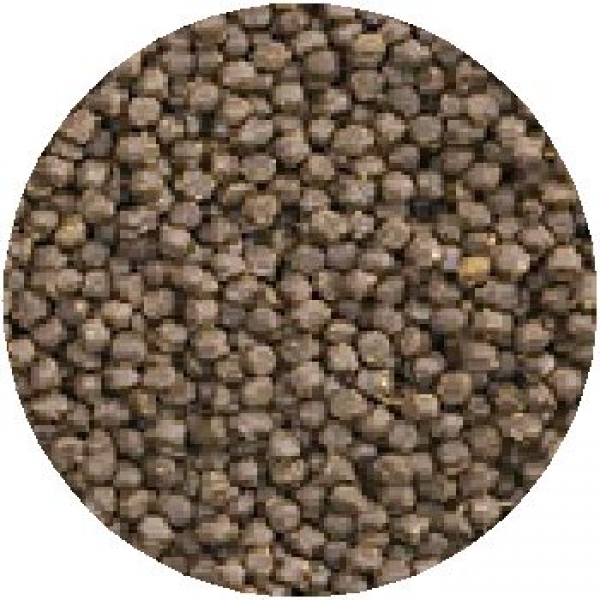 �ե����ߥ�飲���ޥ��ڥ�å�S��100g��[0098731092401]