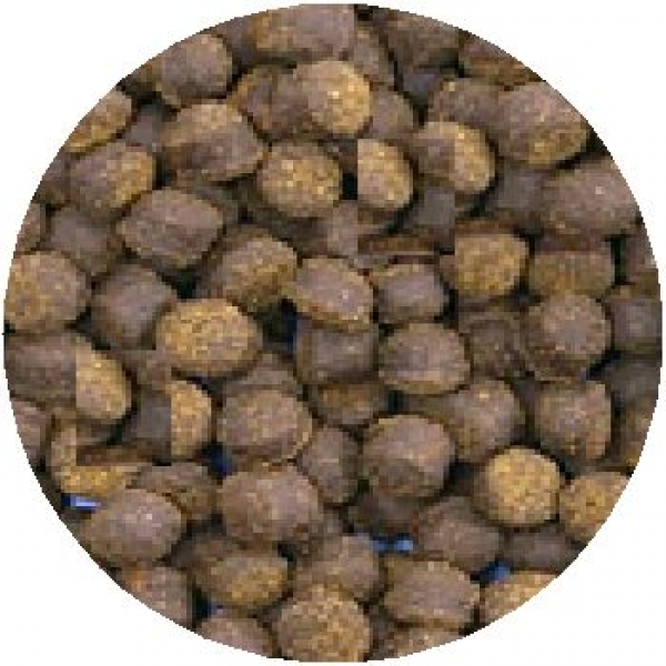 �ե����ߥ�飲���ޥ��ڥ�å�M��100g��[0098731092500]