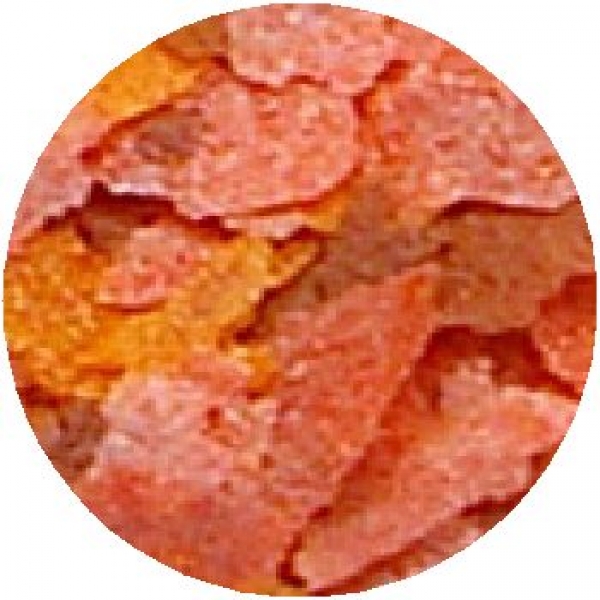 �֥饤�󥷥���ץץ饹���ե졼����[0098731255806]