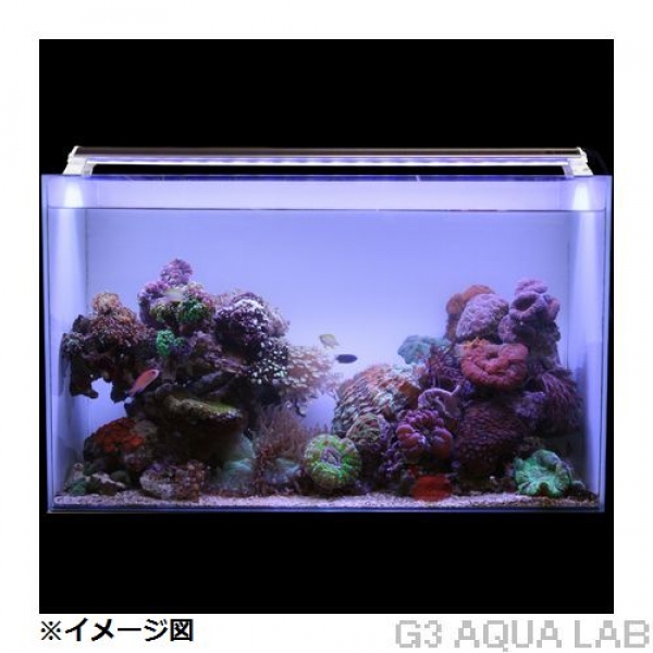 LED PLUS+�����㥤�˥󥰥֥롼��90cm��[4934743005335]