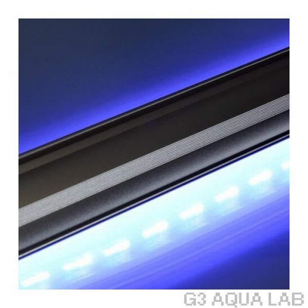 LED PLUS+�����㥤�˥󥰥֥롼��60cm��[4934743005311]