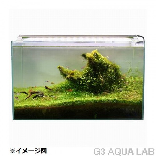 LED PLUS+���ѡ��ե����ȥ��ꥢ��45cm��[4934743005090]