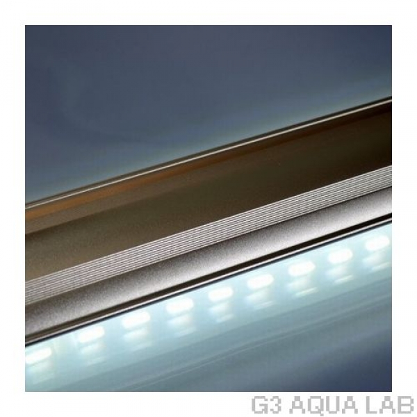 LED PLUS+���ѡ��ե����ȥ��ꥢ��30cm��[4934743005083]