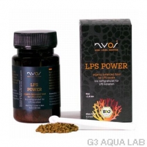ZEST��NYOS��LPS��POWER��35g��[4934743011282]