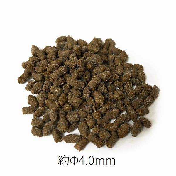 vitalis�����ͥ�ͥڥ�åȡ���4mm��60g��[5060139358750]