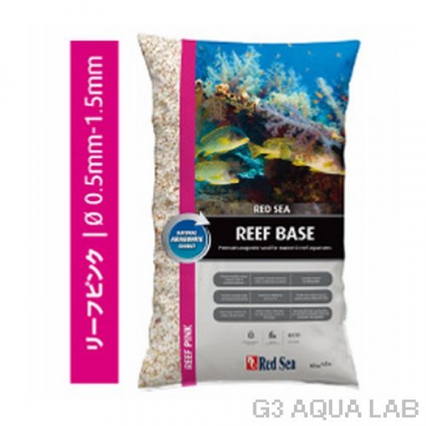 ��åɥ������꡼�ե١������꡼�եԥ󥯡�[7290100774793]