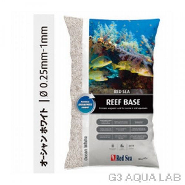 ��åɥ������꡼�ե١������ۥ磻�ȡ�[7290100774809]