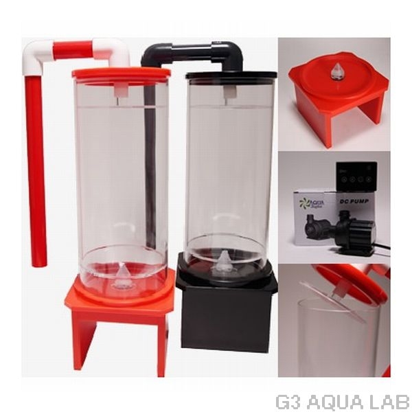 ¡Ú¼è¤ê´ó¤»¡ÛReef Live¡¡BR2-300¡¡Çò¡¡¥Ð¥¤¥ª¥Ú¥ì¥Ã¥È¥ê¥¢¥¯¥¿¡¼