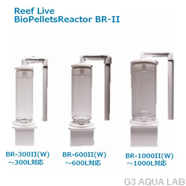 ¡Ú¼è¤ê´ó¤»¡ÛReef Live¡¡BR2-600¡¡Çò¡¡¥Ð¥¤¥ª¥Ú¥ì¥Ã¥È¥ê¥¢¥¯¥¿¡¼