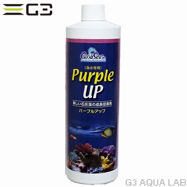 ����֥������ѡ��ץ륢�åס�480ml��[4971664431027]