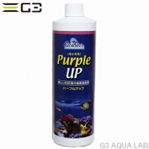 ����֥������ѡ��ץ륢�åס�480ml��[4971664431027]