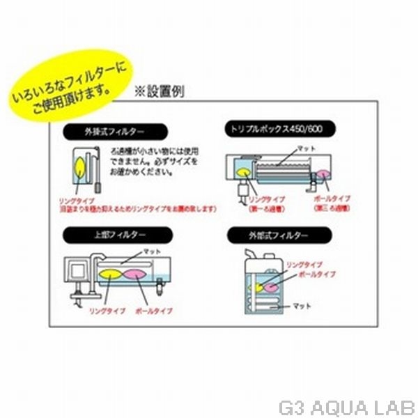 ���ȥ֥������֥�Х�����300g��[4972814531710]