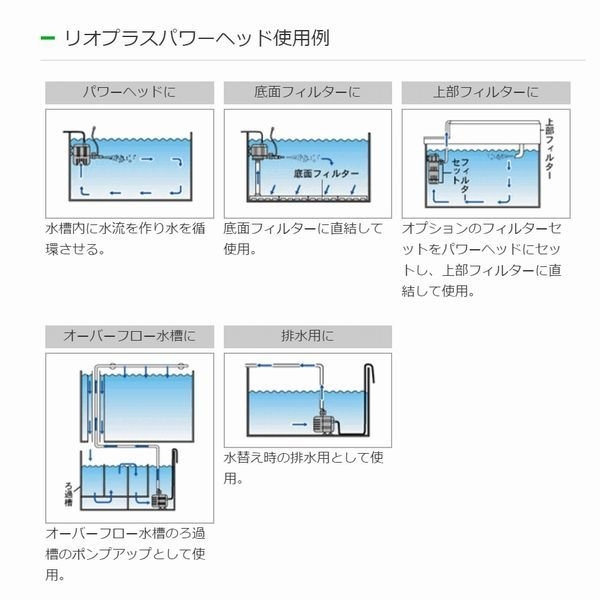 ���ߥϥ���Rio+ 50 60Hz��[4971664940017]