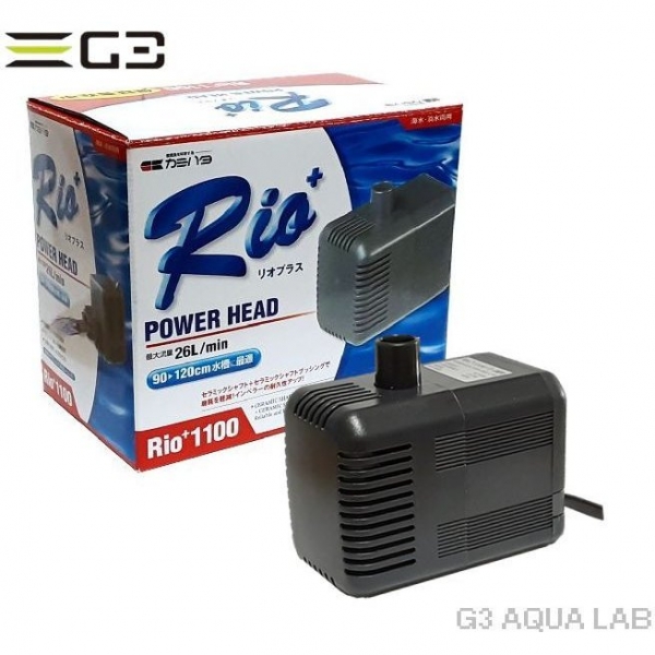 ���ߥϥ���Rio+ 1100 60Hz��[4971664940154]