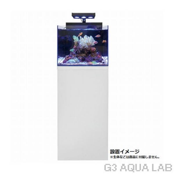 �ڼ��󤻡ۥ����뭶 �ޥ�󡡥���ӥͥåȥ��åȡ��ۥ磻��