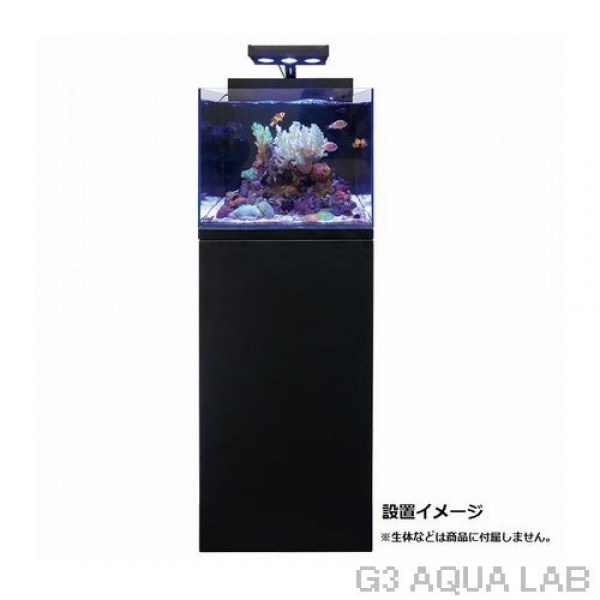 �ڼ��󤻡ۥ����뭶 �ޥ�󡡥���ӥͥåȥ��åȡ��֥�å�