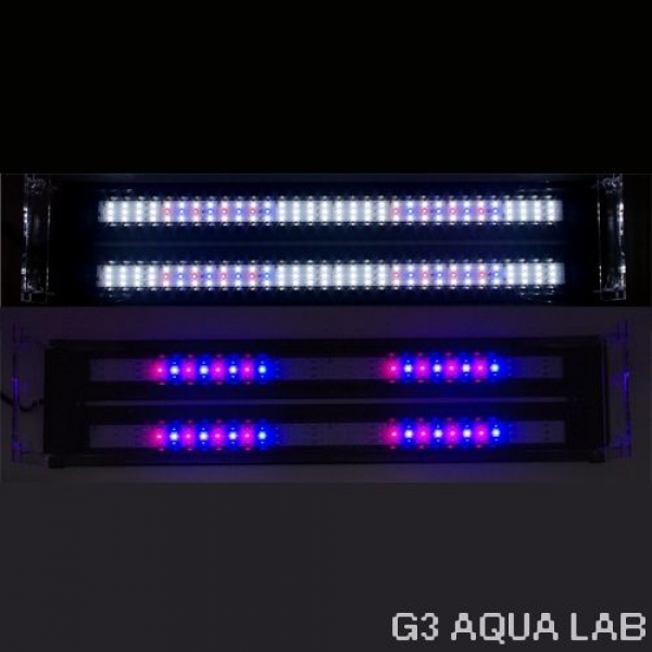 ���ȥ֥����ե�å�LED�ĥ���600������С���[4972814033405]