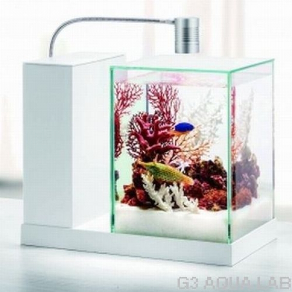 GEX��AQUA-U�������륤������塡[4972547034878]