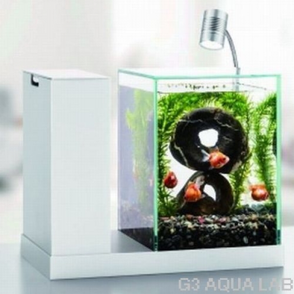 GEX��AQUA-U�������륤������塡[4972547034878]