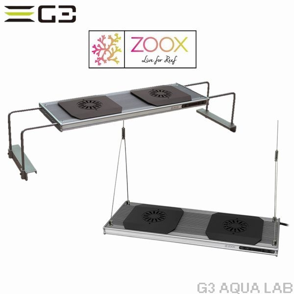 �ڼ��󤻡�zoox��REVLON60����֥���60��[4540103070341]
