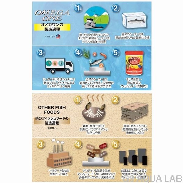 ᥬ󡡥顼ߥ˥ڥå  50g[4571171612812]