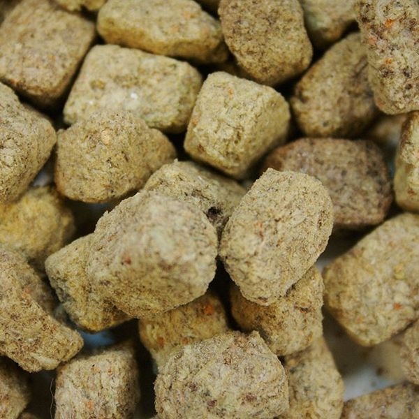 ���ᥬ��󡡥ե꡼���ɥ饤���֥饤�󥷥���ס�[0698220003217]