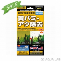 ��SALE�ۥ��ȥ֥���P��CUT��󡡲��Хߡ��������[4972814584235]