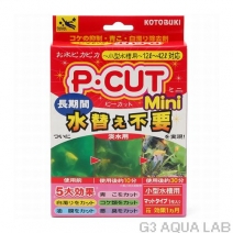 ���ȥ֥���P��CUT�ߥˡ�1�����ꡡ[4972814575073]