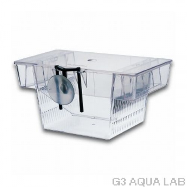 ���ե����ȥܥå�������Υ��������[4974105005382]