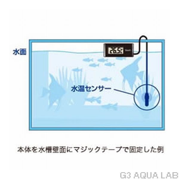 �ƥȥ顡�ǥ�����岹�ס��֥�å���BD-1����4560147398218��