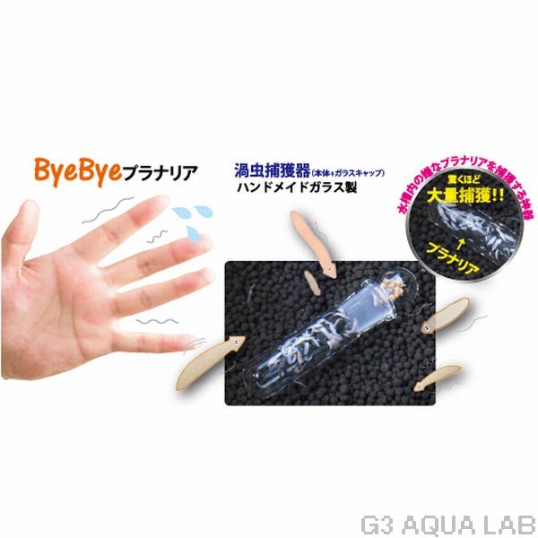 ���������Х��Х��ץ�ʥꥢ���ץ�ʥꥢ��ʹ[4580163201613]