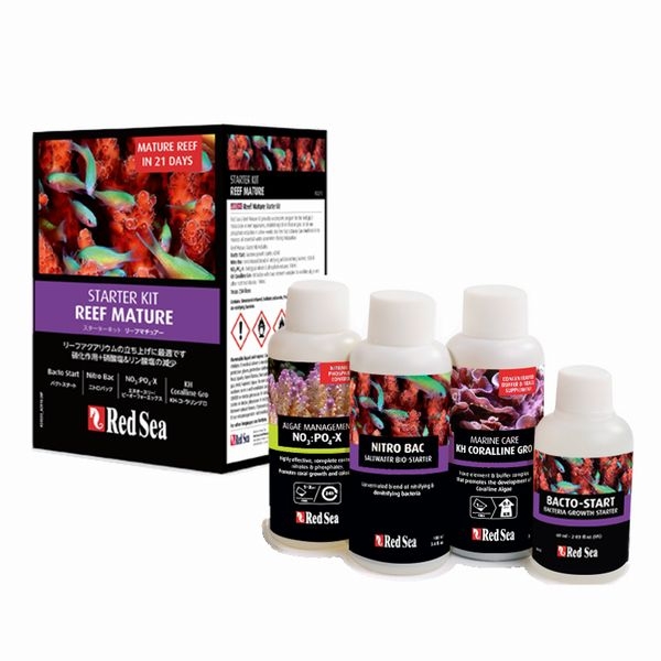 ��åɥ������꡼�եޥ��奢�����������������åȡ�[7290100774144]